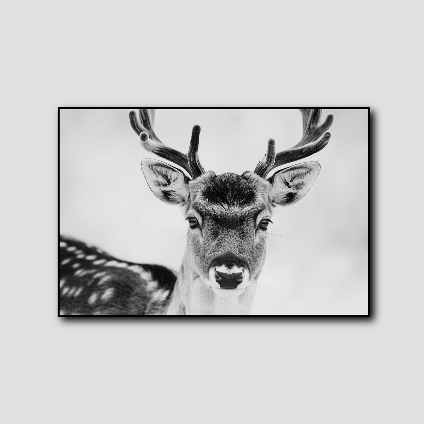 Tableau Cerf Noir et Blanc