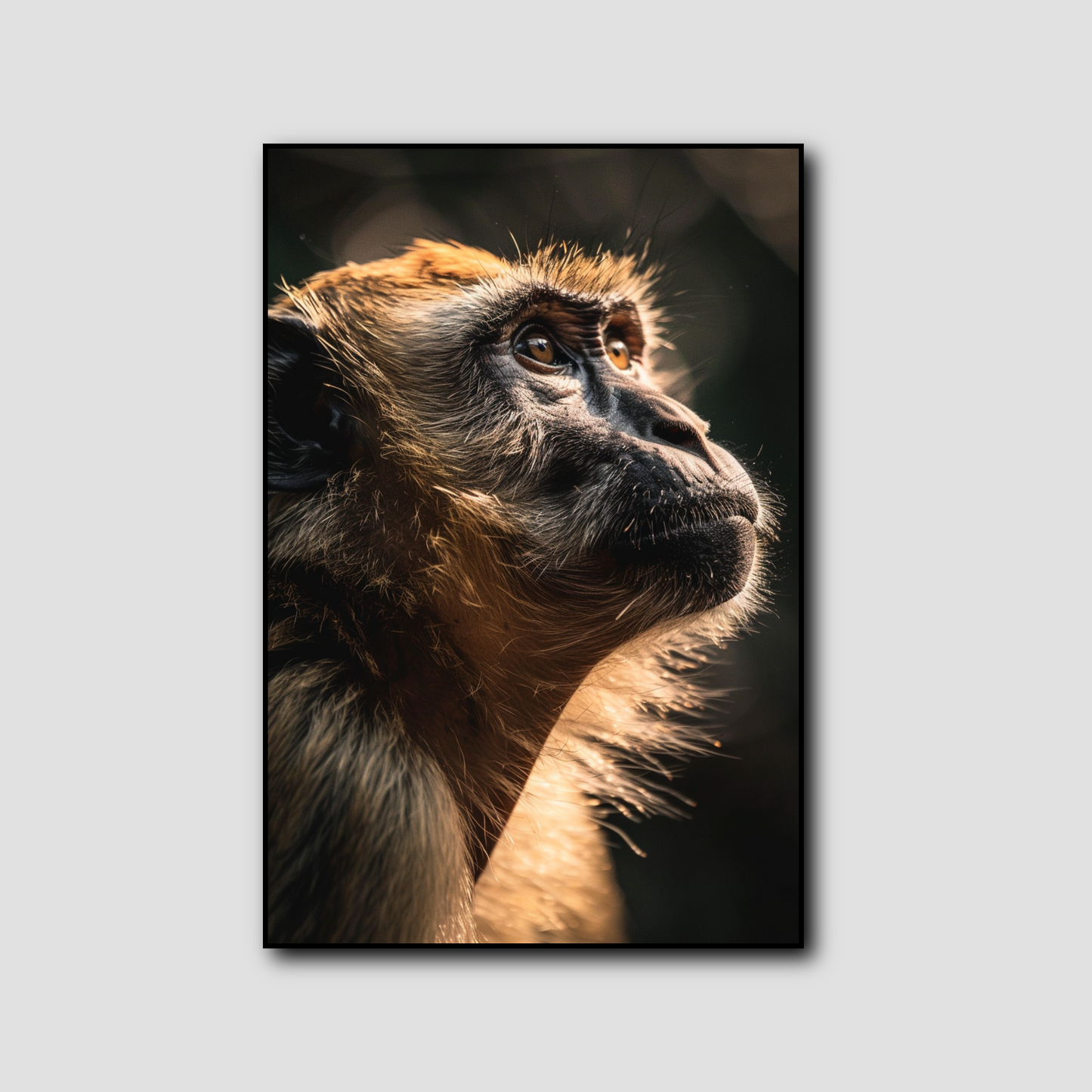 Tableau Singe Portrait