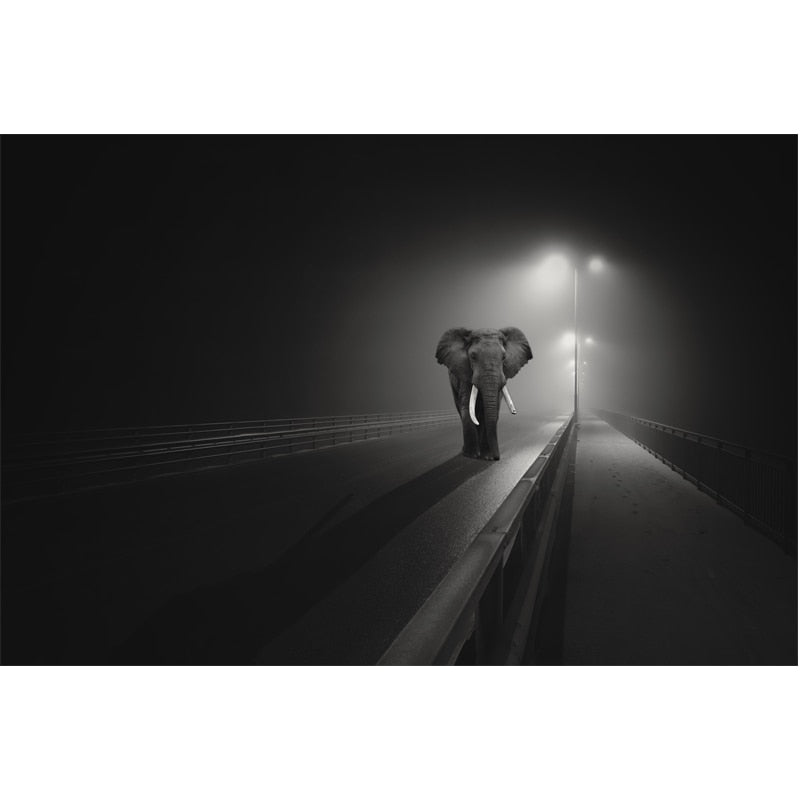 Tableau Eléphant dans la Nuit