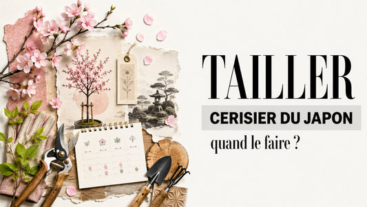 Quand Tailler un Cerisier du Japon ?