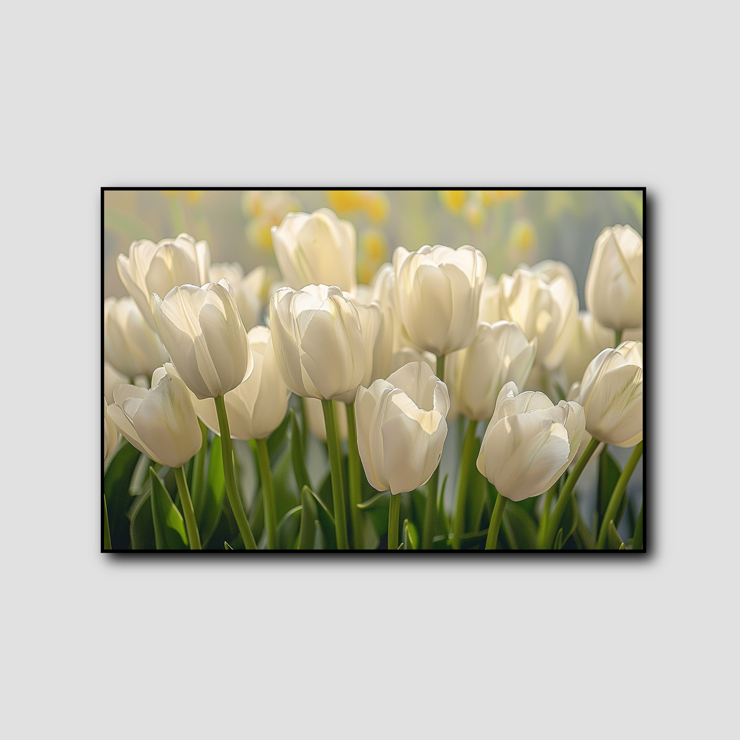 Tableau Tulipes Blanches