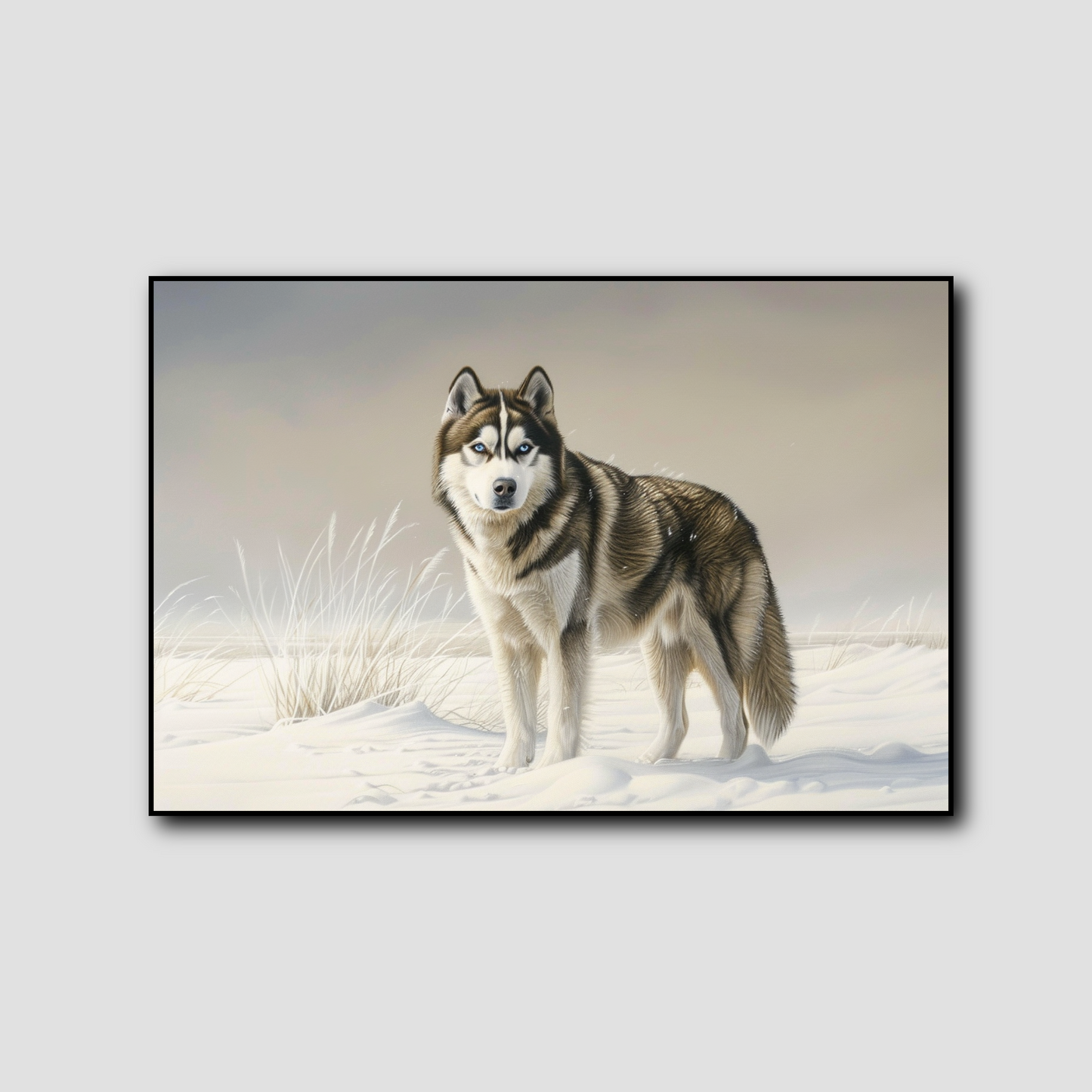 Tableau Chien Husky de Sibérie