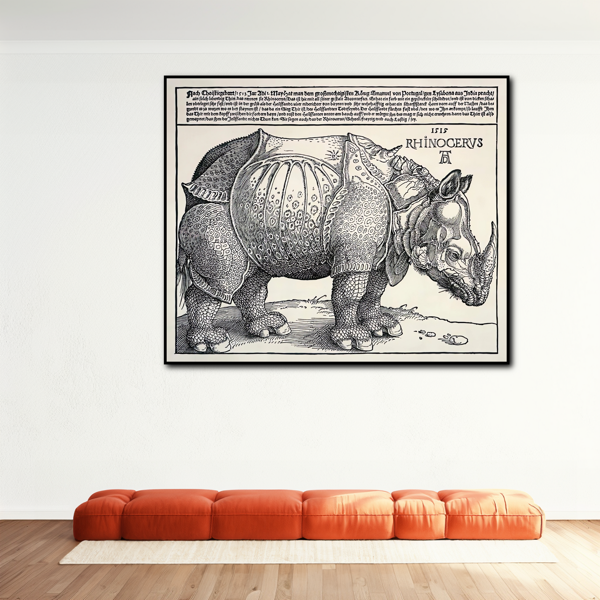 Rhinocéros - Albrecht Dürer