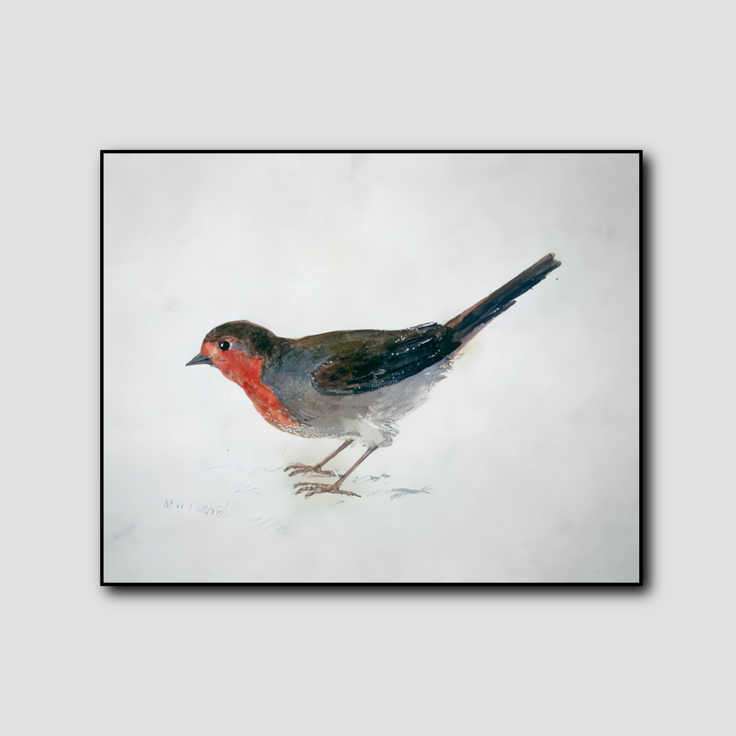 Robin, extrait de The Farnley Book of Birds - William Turner