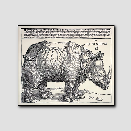 Rhinocéros - Albrecht Dürer